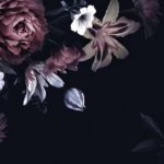 evershinewalls_blackbackgroundflowers