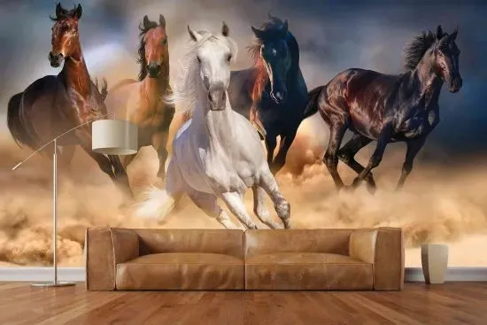 the-horses-wallpaperwall