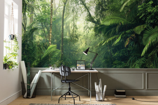Mystical River Stream Forest Wallpaper Mural