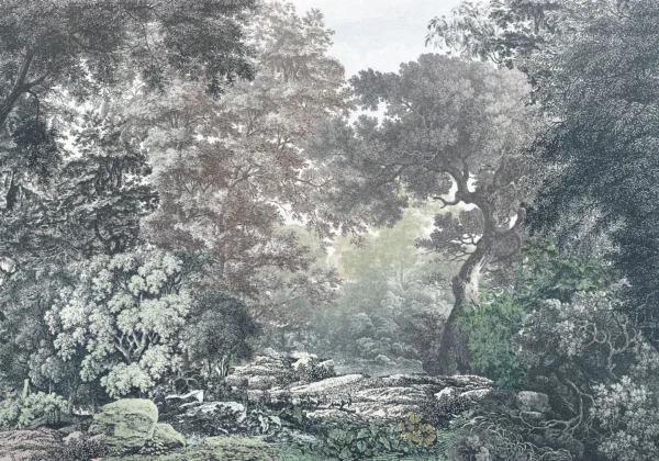 Fairytale Forest Wallpaper Mural - Image 4